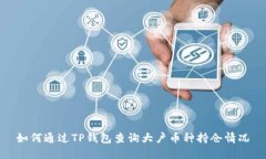 如何通過TP錢包查詢大戶幣種持倉情況
