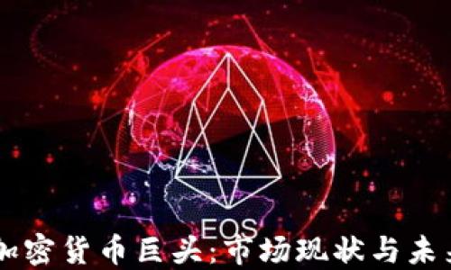
中國加密貨幣巨頭：市場現(xiàn)狀與未來展望
