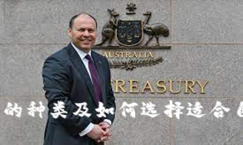 深入探討：區(qū)塊鏈錢包的種類及如何選擇適合自己的最大區(qū)塊鏈錢包